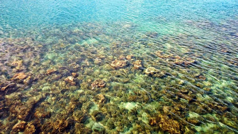 Snorkeling in Labun Island Resort