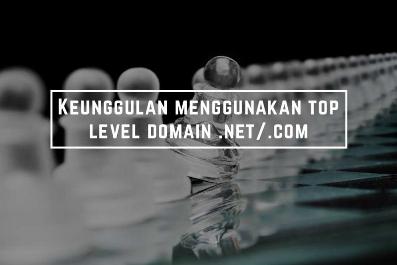 Keunggulan menggunakan top domain level .net/.com