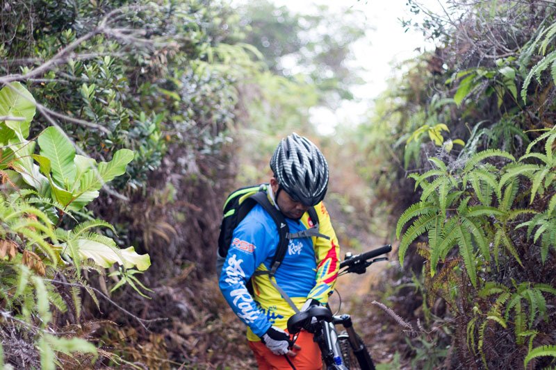 Memasuki Hutan