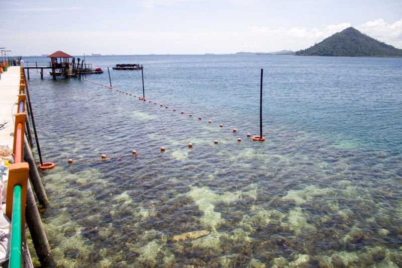 Scenery From Pulau Labun Resort