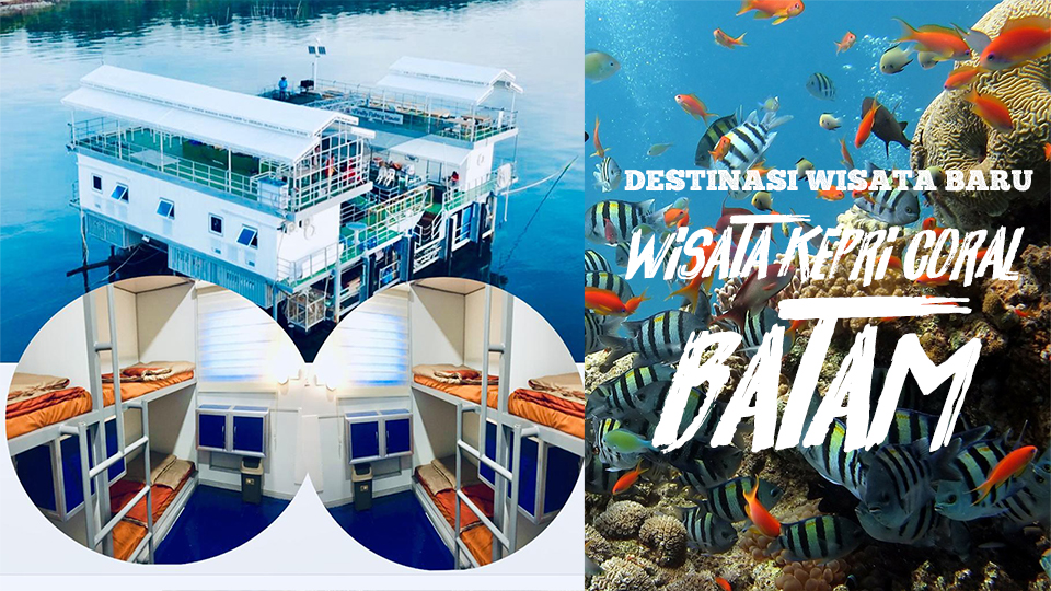 Kepri Coral Abang Island Batam