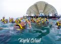 Kepri Coral Island Snorkeling