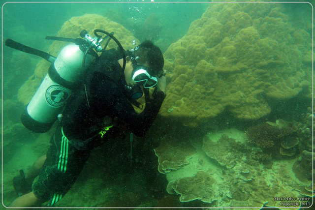 Diving and Snorkeling in P. Abang, Batam