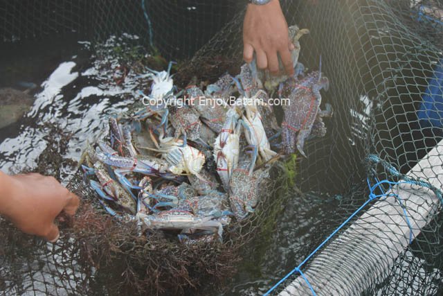 Crab Seafood Piayu Laut